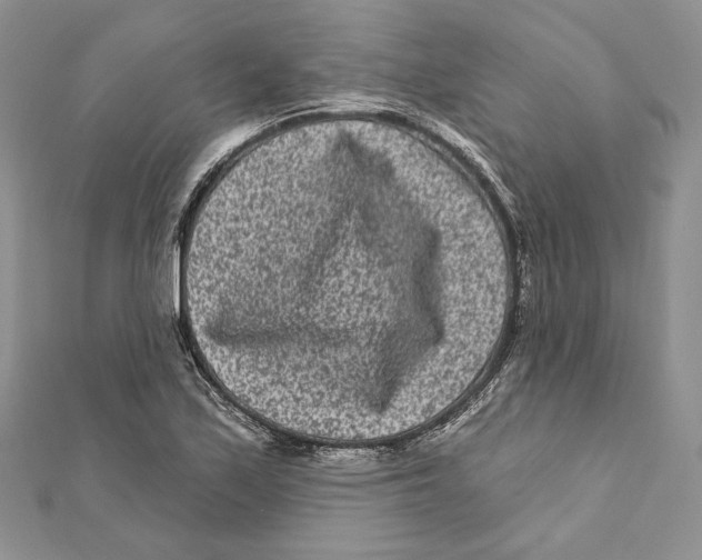 X0000111871171200908201210