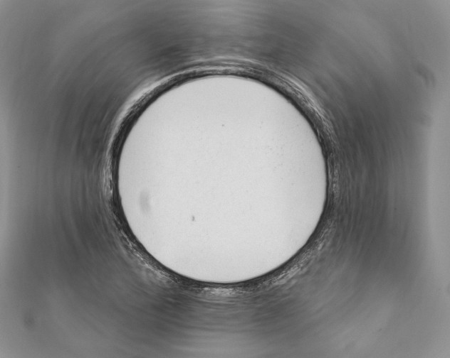 X0000111871172200908201210