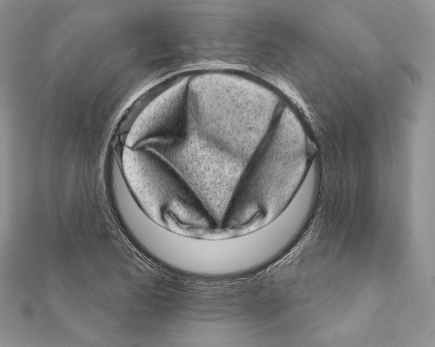 X0000111871173200908201210