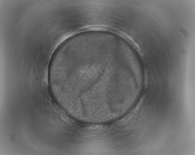 X0000111871174200908201210