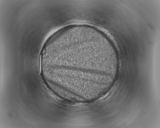 X0000111871175200908201210