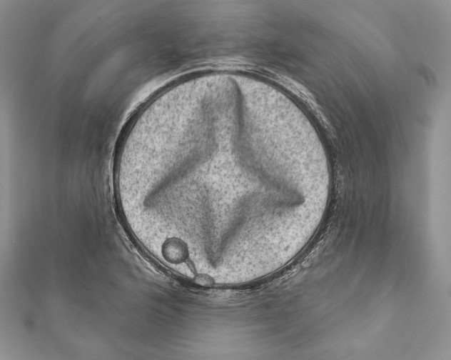 X0000111871176200908201210