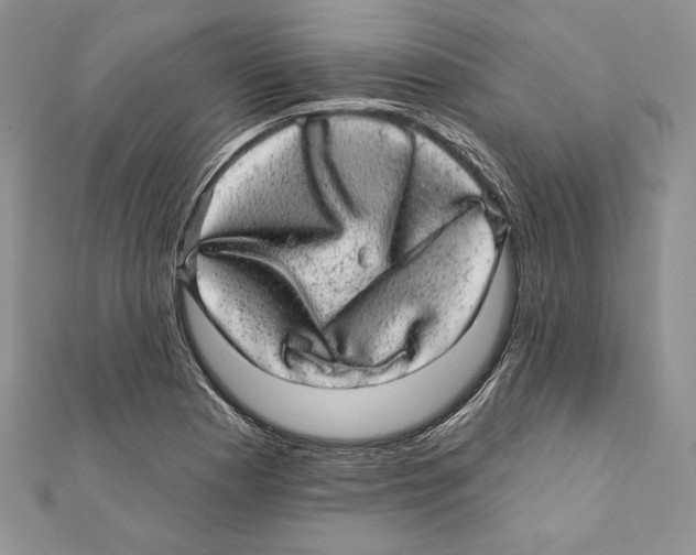 X0000111871177200908201210