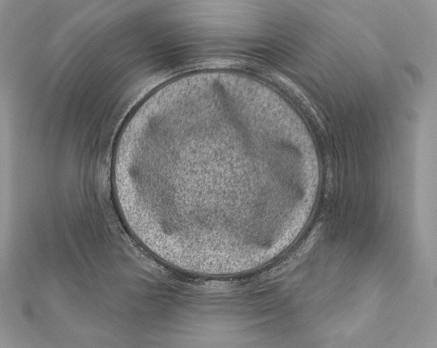 X0000111871178200908201210