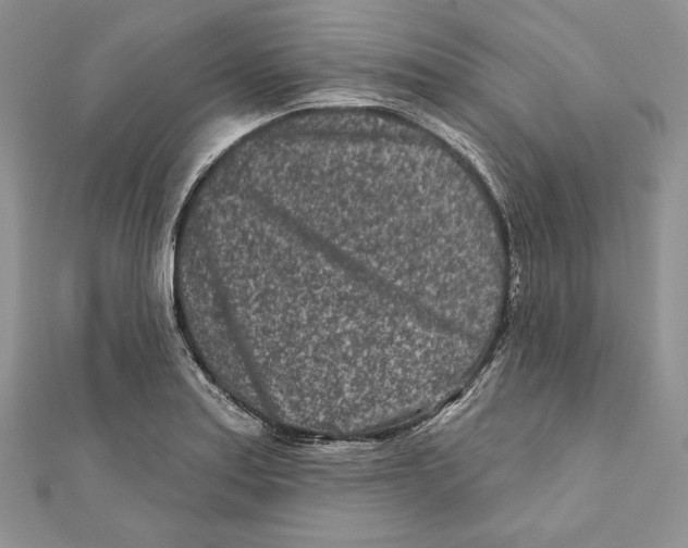 X0000111871179200908201210