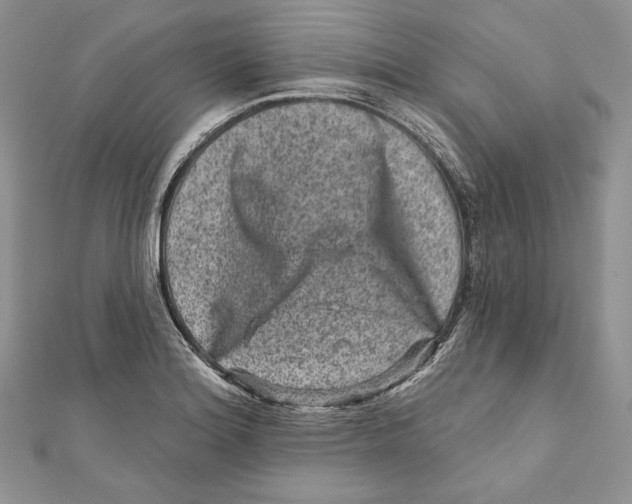 X0000111871180200908201210