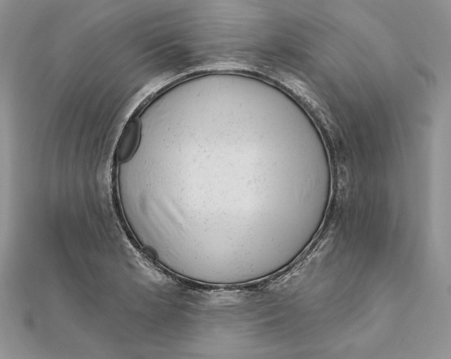 X0000111871181200908201210