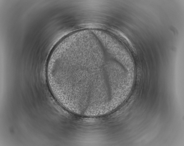 X0000111871182200908201210