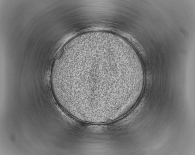 X0000111871185200908201210