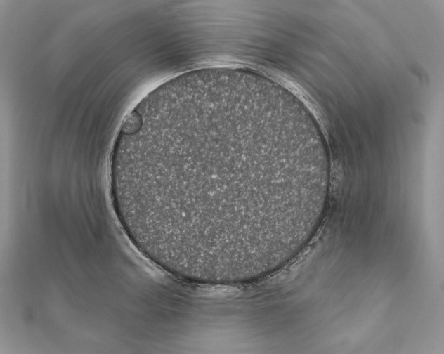 X0000111871187200908201210