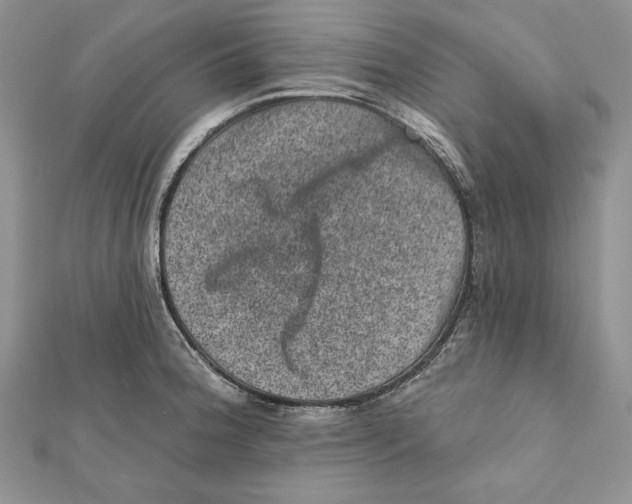 X0000111871188200908201210