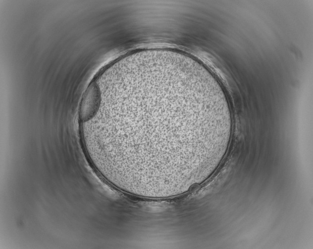 X0000111871189200908201210