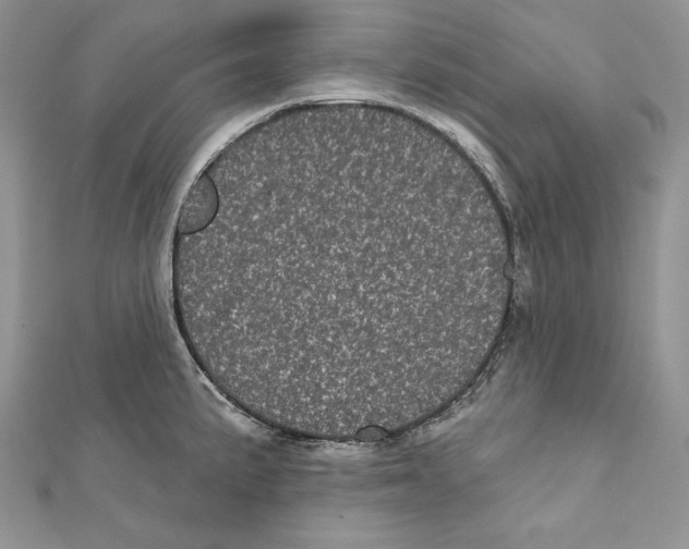 X0000111871191200908201210