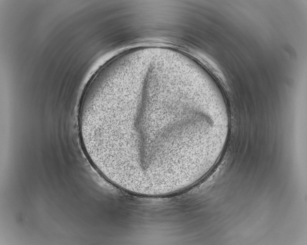 X0000111871192200908201210