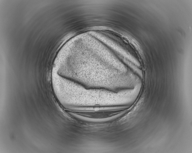 X0000111871193200908201210