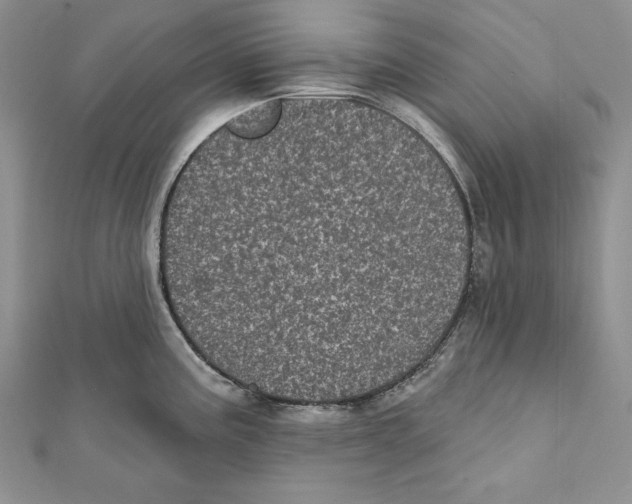 X0000111871195200908201210