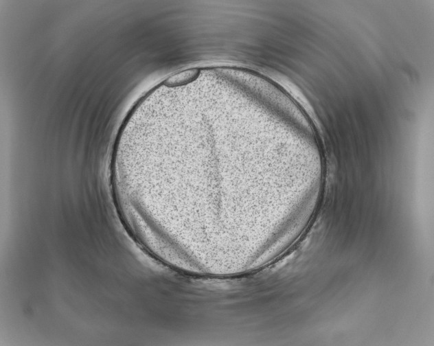 X0000111871197200908201210