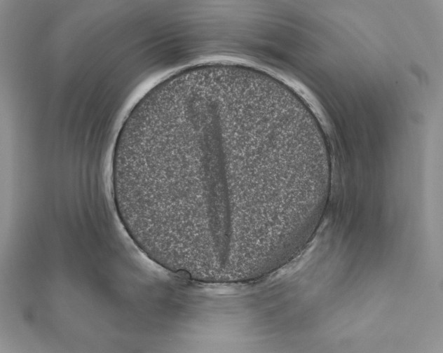 X0000111871199200908201210