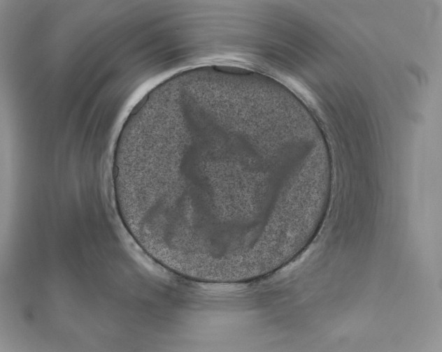 X0000111871200200908201210