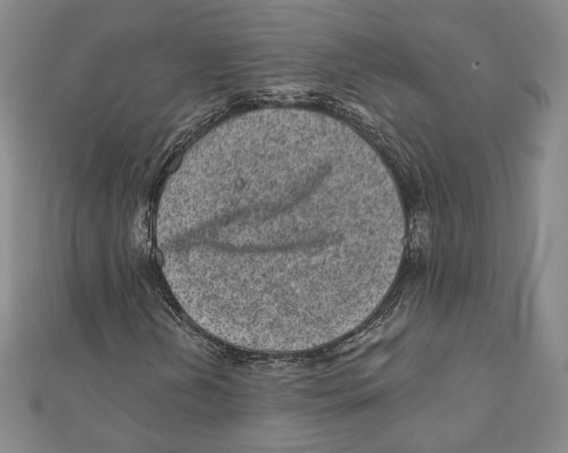 X0000111871202200908201209