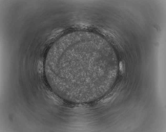 X0000111871203200908201209