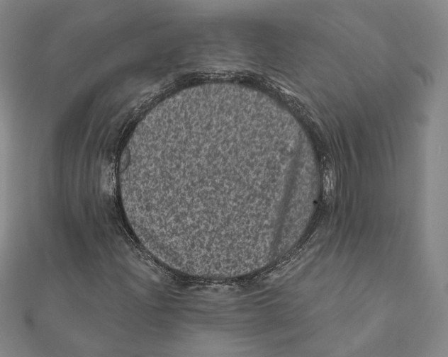 X0000111871204200908201209