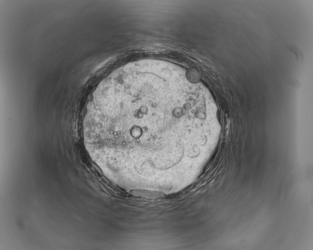 X0000111871205200908201209