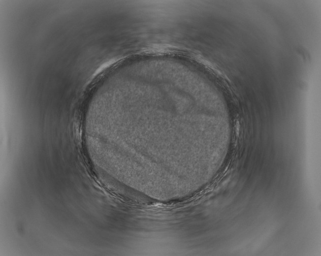 X0000111871206200908201209