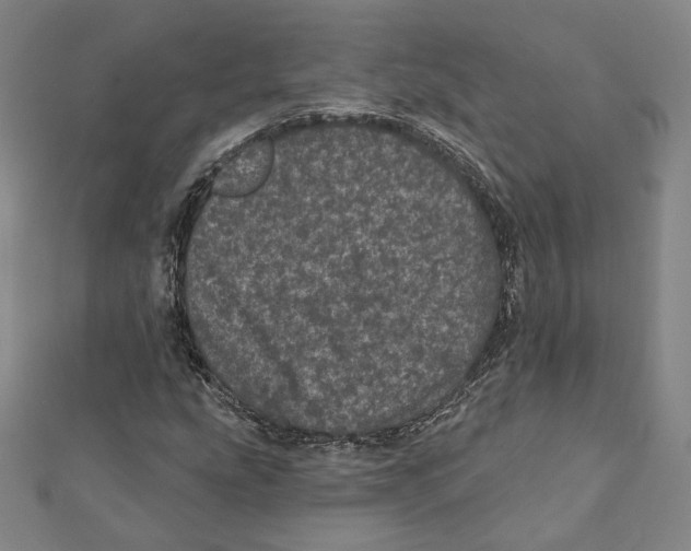 X0000111871207200908201209