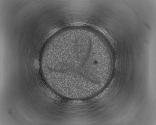 X0000111871209200908201209