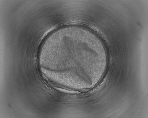 X0000111871210200908201209