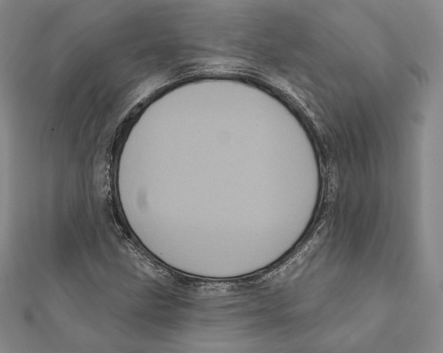 X0000111871211200908201209