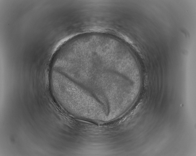 X0000111871214200908201209