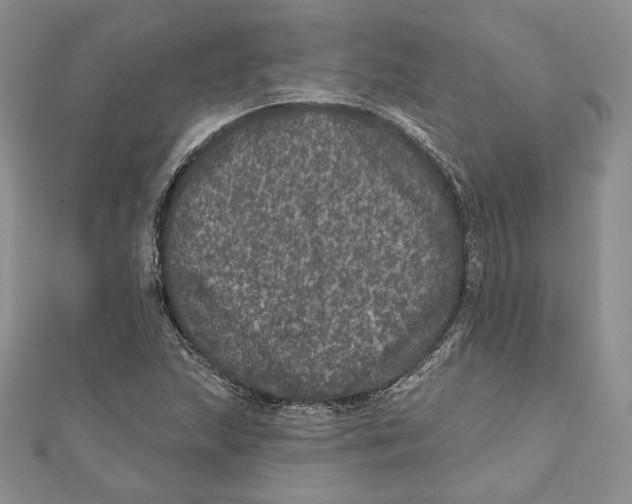 X0000111871215200908201209