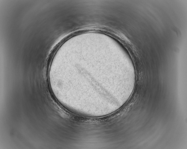 X0000111871216200908201209