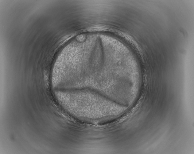 X0000111871217200908201209