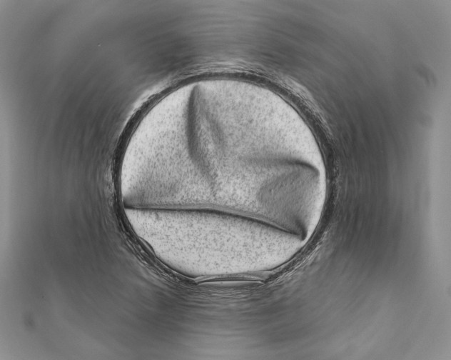 X0000111871218200908201209