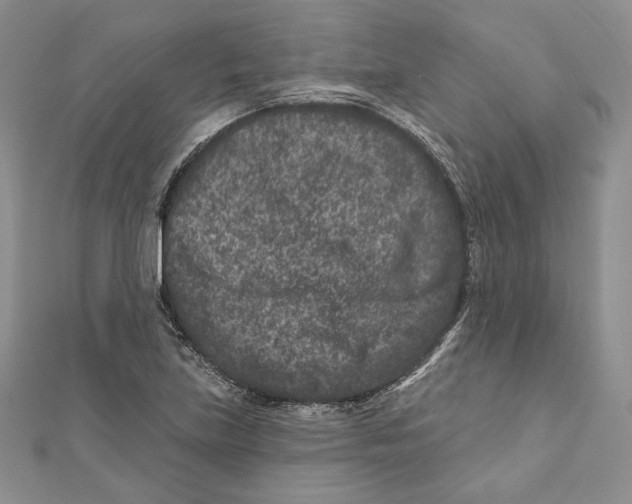 X0000111871219200908201209