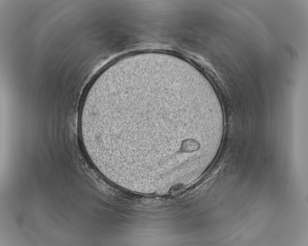 X0000111871220200908201209