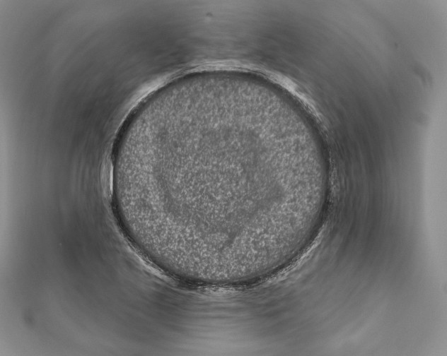 X0000111871221200908201209