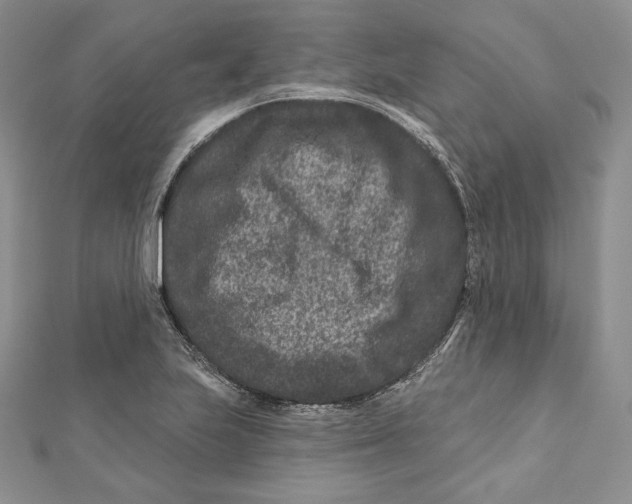 X0000111871223200908201209