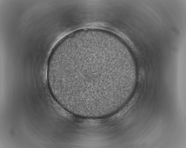 X0000111871224200908201209