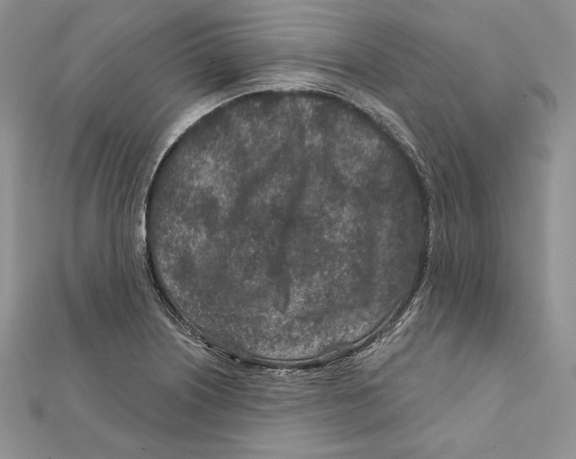 X0000111871226200908201209