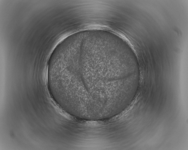 X0000111871227200908201209