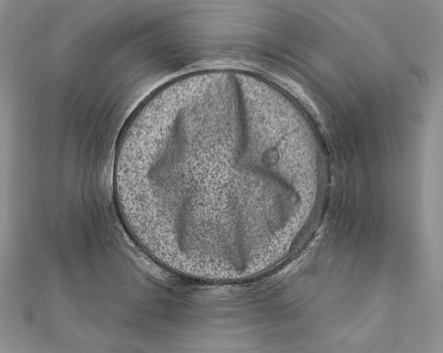 X0000111871228200908201209