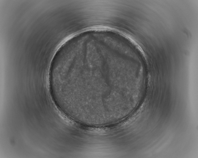 X0000111871229200908201209