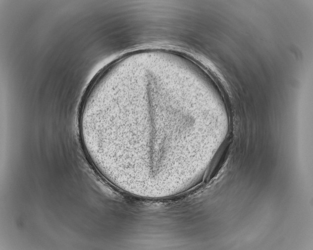 X0000111871230200908201209