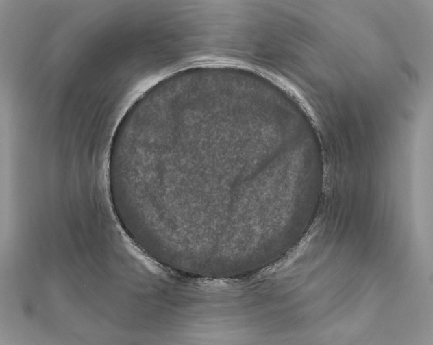 X0000111871231200908201209