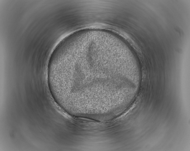 X0000111871232200908201209