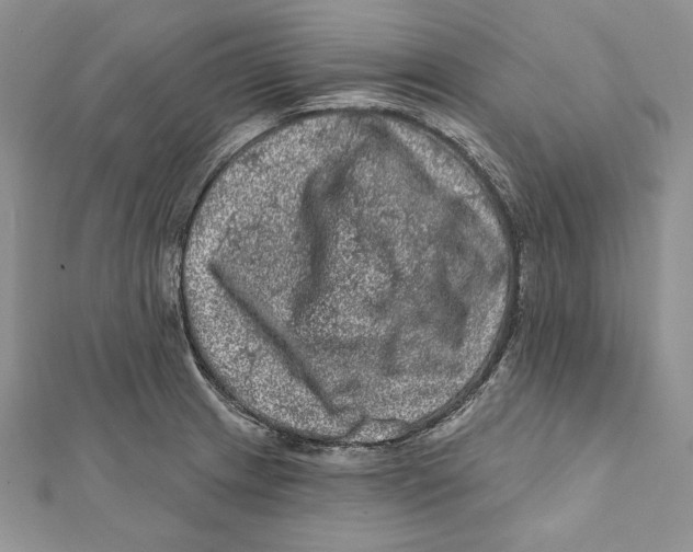 X0000111871233200908201209